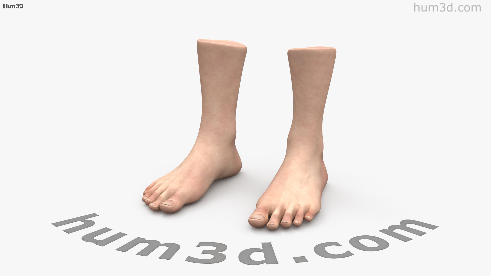 360 View Of Male Foot 3D Model 3DModels Store 360-view-of-male-foot-3d-model-3dmodels-store