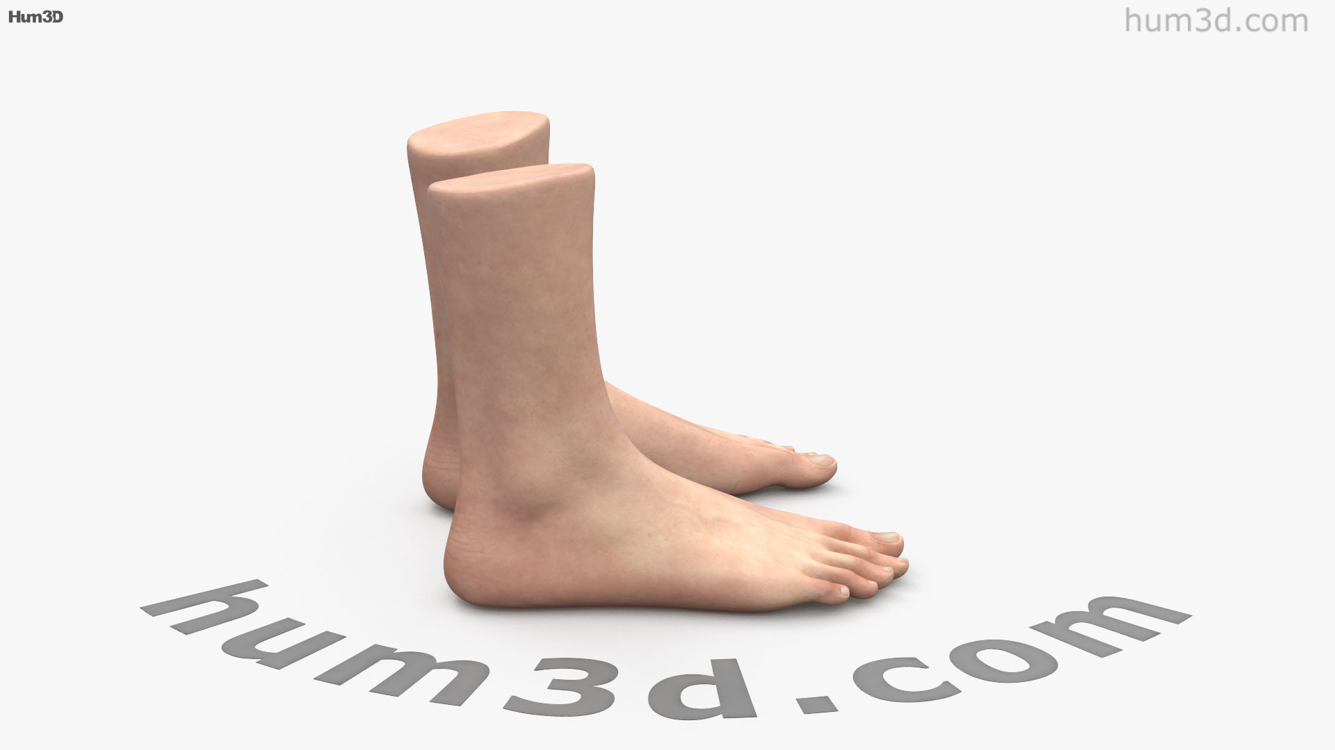 360 View Of Male Foot 3D Model 3DModels Store 360-view-of-male-foot-3d-model-3dmodels-store