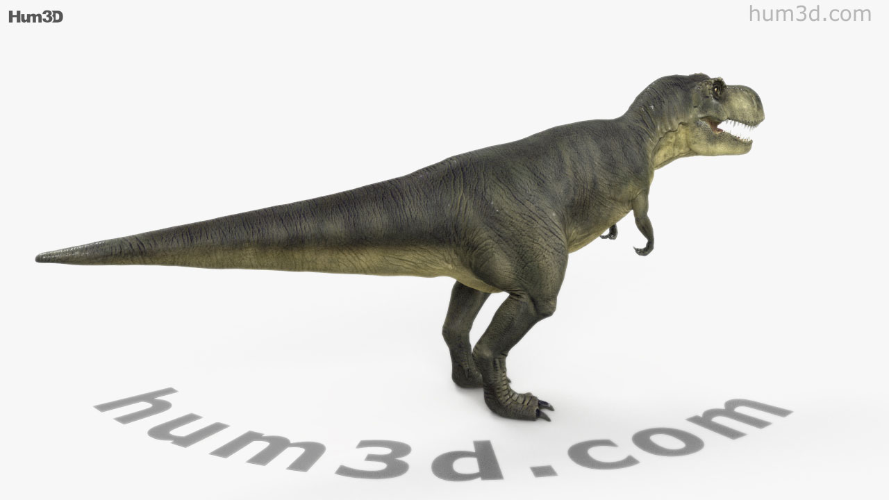 Dinossauro T-Rex 3D