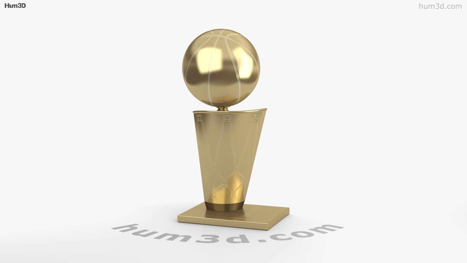 The Larry O'Brien Trophy  Trophy, Basketball photography, Team